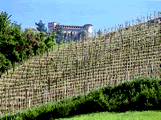 Das Piemont